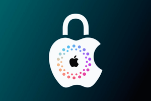 iPhone Sold To + Coverage all Models Supported By IMEI/SN 24/7 INSATNT